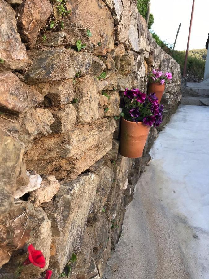 Casa Da Clarinha Villa Castelo de Paiva Dış mekan fotoğraf